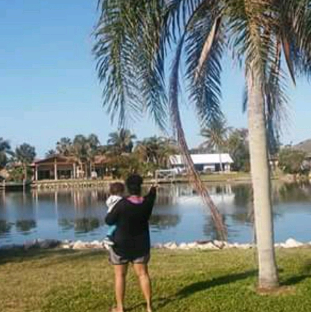 Meet your Posher, Dawn